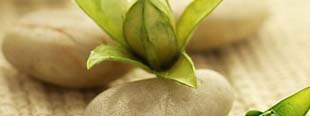 naturopathe val d'oise